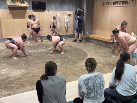 Sumo Tours